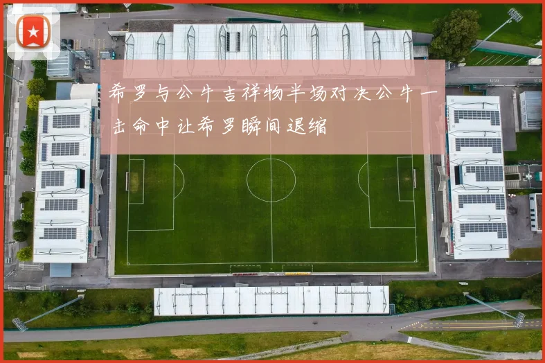 希罗与公牛吉祥物半场对决公牛一击命中让希罗瞬间退缩